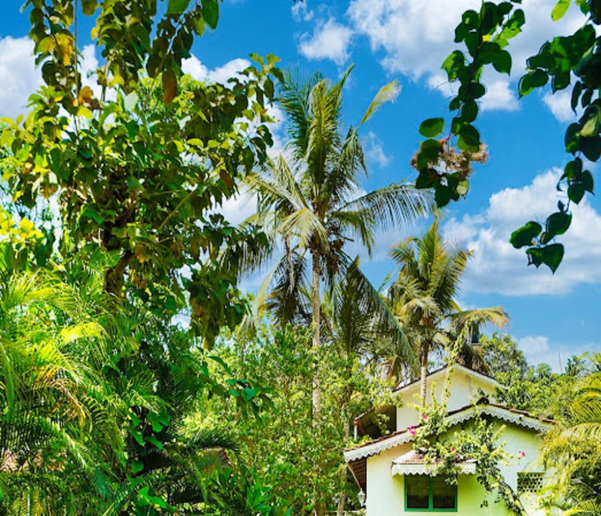 Lar Amorosa Boutique Hotel - Goa カラングート エクステリア 写真