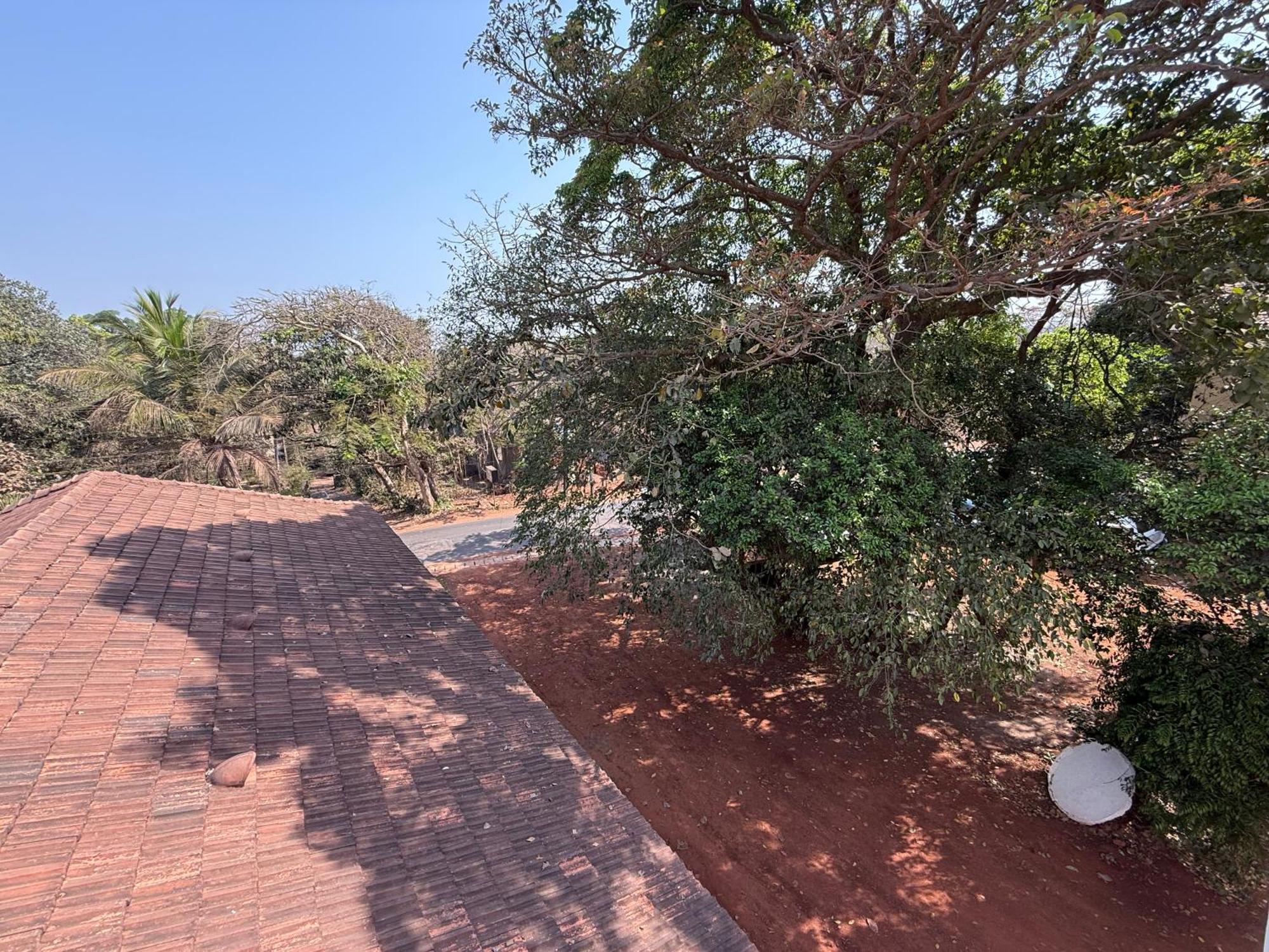 Lar Amorosa Boutique Hotel - Goa カラングート エクステリア 写真